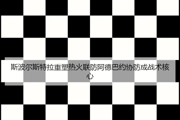 斯波尔斯特拉重塑热火联防阿德巴约协防成战术核心